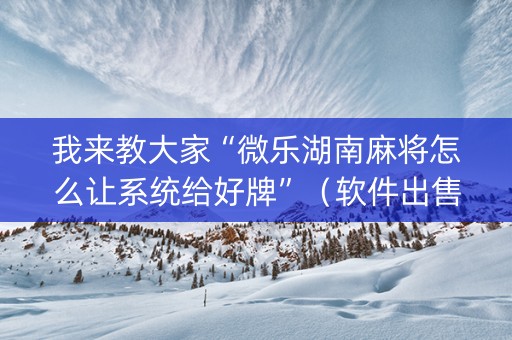 我来教大家“微乐湖南麻将怎么让系统给好牌”（软件出售)