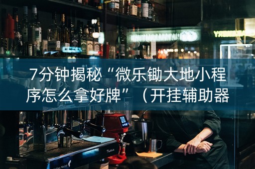 7分钟揭秘“微乐锄大地小程序怎么拿好牌”（开挂辅助器插件)
