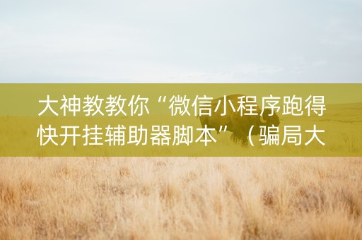 大神教教你“微信小程序跑得快开挂辅助器脚本”（骗局大揭秘)