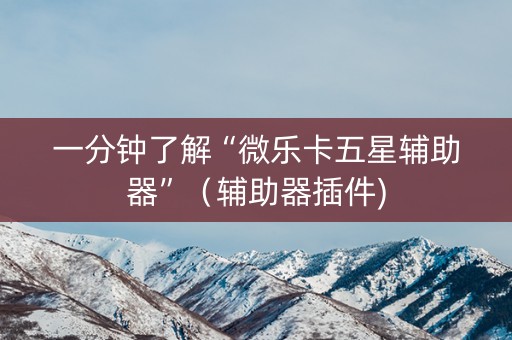 一分钟了解“微乐卡五星辅助器”（辅助器插件)