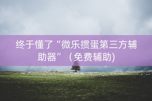 终于懂了“微乐掼蛋第三方辅助器”（免费辅助)