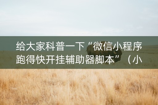 给大家科普一下“微信小程序跑得快开挂辅助器脚本”（小程序怎么才会赢)