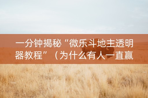 一分钟揭秘“微乐斗地主透明器教程”（为什么有人一直赢)