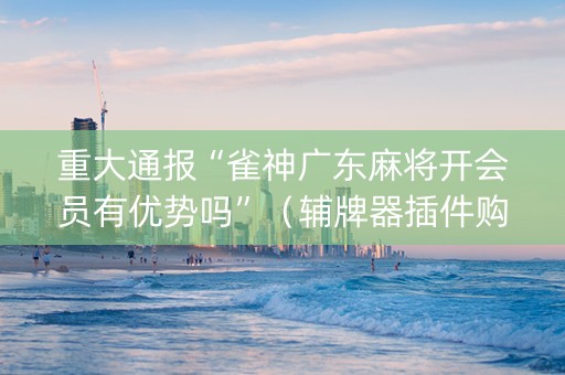重大通报“雀神广东麻将开会员有优势吗”（辅牌器插件购买)