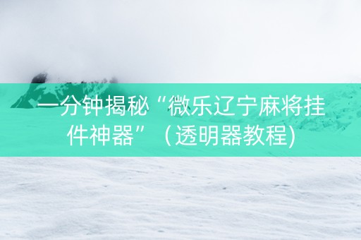 一分钟揭秘“微乐辽宁麻将挂件神器”（透明器教程)