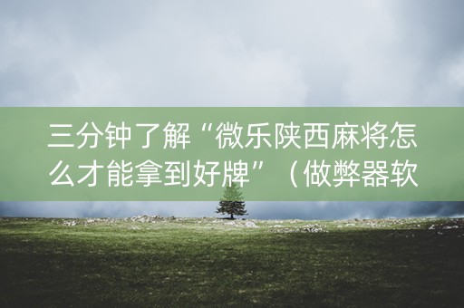 三分钟了解“微乐陕西麻将怎么才能拿到好牌”（做弊器软件下载)