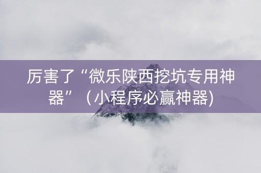 厉害了“微乐陕西挖坑专用神器”（小程序必赢神器)