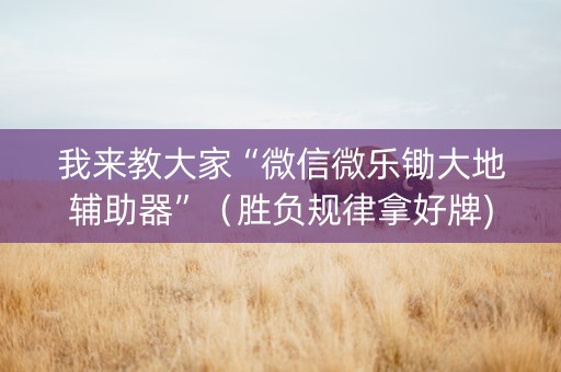 我来教大家“微信微乐锄大地辅助器”（胜负规律拿好牌)