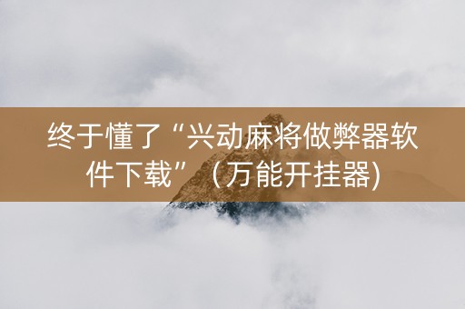 终于懂了“兴动麻将做弊器软件下载”（万能开挂器)