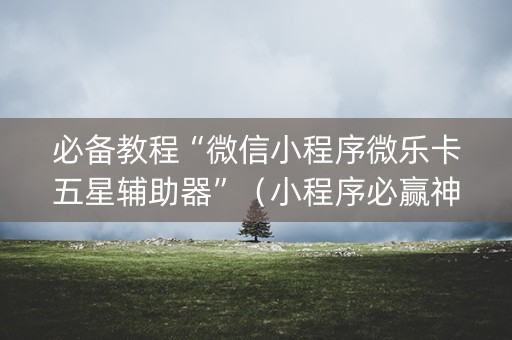 必备教程“微信小程序微乐卡五星辅助器”（小程序必赢神器)