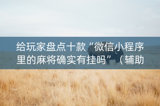 给玩家盘点十款“微信小程序里的麻将确实有挂吗”（辅助器通用版)