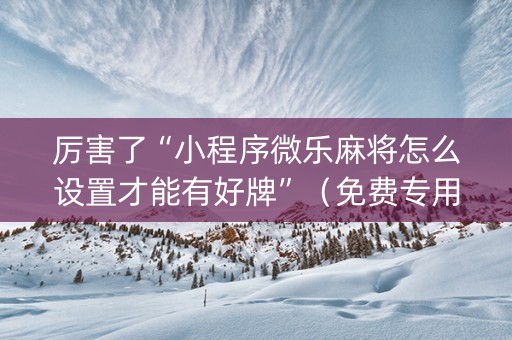厉害了“小程序微乐麻将怎么设置才能有好牌”（免费专用神器)