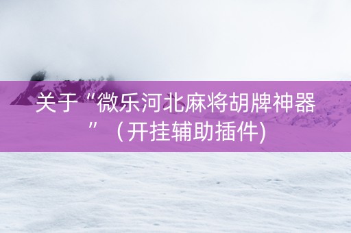 关于“微乐河北麻将胡牌神器”（开挂辅助插件)