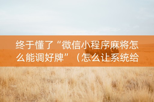 终于懂了“微信小程序麻将怎么能调好牌”（怎么让系统给自己好牌)