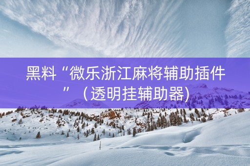 黑料“微乐浙江麻将辅助插件”（透明挂辅助器)