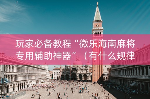 玩家必备教程“微乐海南麻将专用辅助神器”（有什么规律)