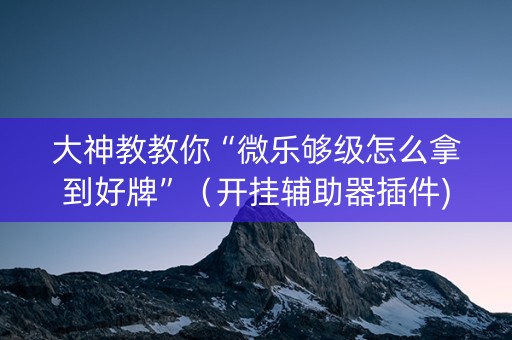 大神教教你“微乐够级怎么拿到好牌”（开挂辅助器插件)
