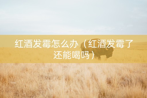 红酒发霉怎么办（红酒发霉了还能喝吗）