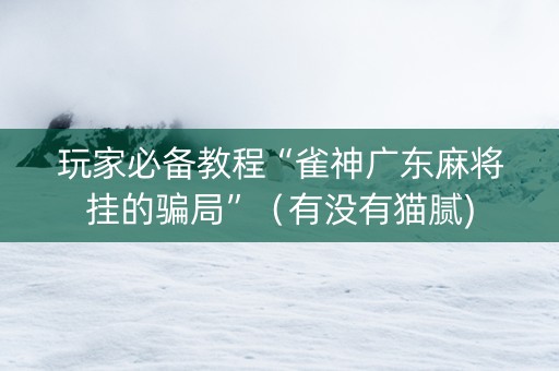 玩家必备教程“雀神广东麻将挂的骗局”（有没有猫腻)