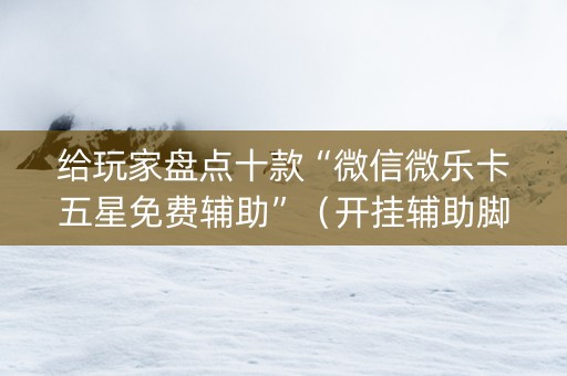 给玩家盘点十款“微信微乐卡五星免费辅助”（开挂辅助脚本)