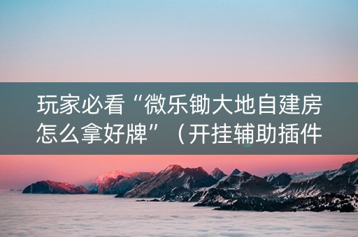玩家必看“微乐锄大地自建房怎么拿好牌”（开挂辅助插件)