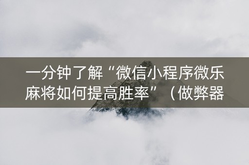 一分钟了解“微信小程序微乐麻将如何提高胜率”（做弊器软件下载)