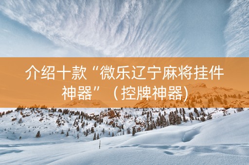 介绍十款“微乐辽宁麻将挂件神器”（控牌神器)