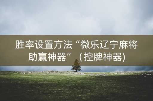 胜率设置方法“微乐辽宁麻将助赢神器”（控牌神器)