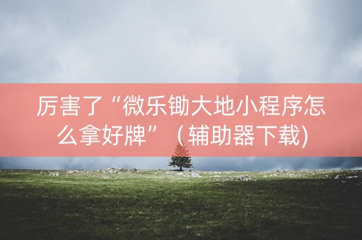 厉害了“微乐锄大地小程序怎么拿好牌”（辅助器下载)