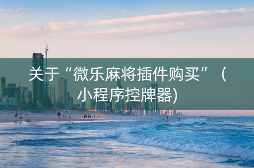 关于“微乐麻将插件购买”（小程序控牌器)