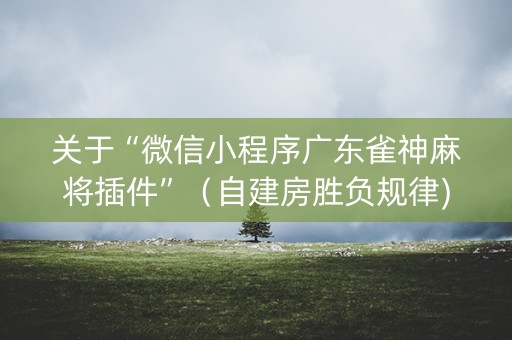 关于“微信小程序广东雀神麻将插件”（自建房胜负规律)