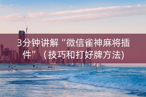 3分钟讲解“微信雀神麻将插件”（技巧和打好牌方法)