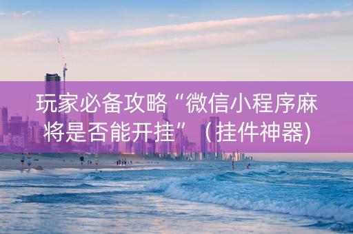 玩家必备攻略“微信小程序麻将是否能开挂”（挂件神器)