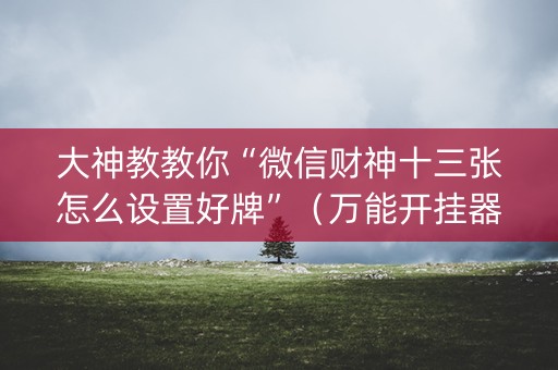 大神教教你“微信财神十三张怎么设置好牌”（万能开挂器)