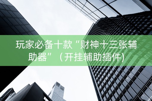 玩家必备十款“财神十三张辅助器”（开挂辅助插件)