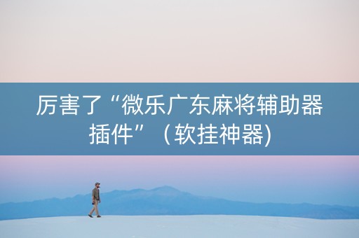 厉害了“微乐广东麻将辅助器插件”（软挂神器)