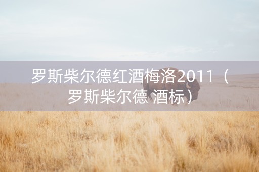 罗斯柴尔德红酒梅洛2011（罗斯柴尔德 酒标）