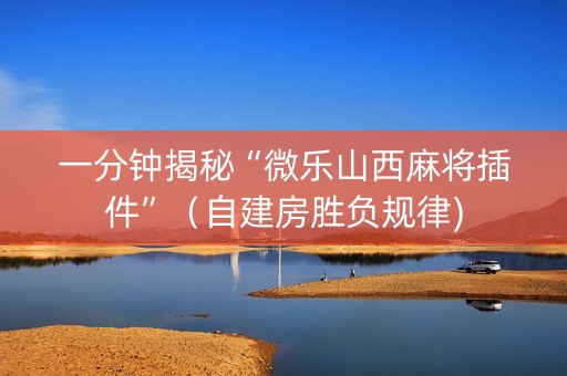 一分钟揭秘“微乐山西麻将插件”（自建房胜负规律)