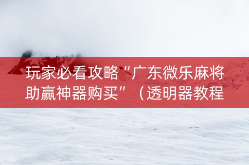 玩家必看攻略“广东微乐麻将助赢神器购买”（透明器教程)