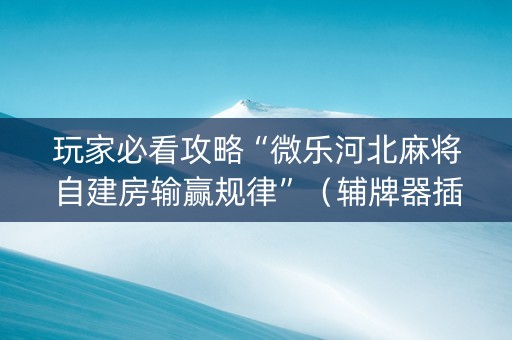 玩家必看攻略“微乐河北麻将自建房输赢规律”（辅牌器插件购买)