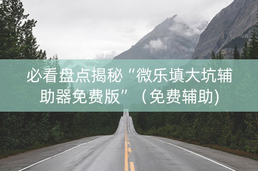 必看盘点揭秘“微乐填大坑辅助器免费版”（免费辅助)