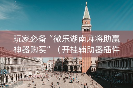 玩家必备“微乐湖南麻将助赢神器购买”（开挂辅助器插件)
