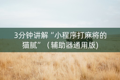 3分钟讲解“小程序打麻将的猫腻”（辅助器通用版)