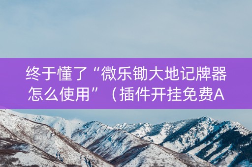 终于懂了“微乐锄大地记牌器怎么使用”（插件开挂免费AI)