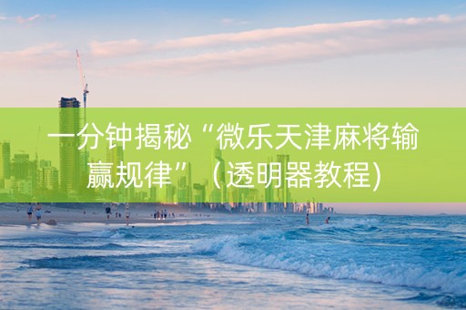 一分钟揭秘“微乐天津麻将输赢规律”（透明器教程)