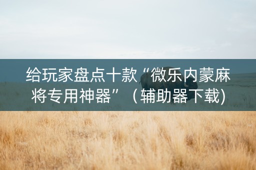 给玩家盘点十款“微乐内蒙麻将专用神器”（辅助器下载)