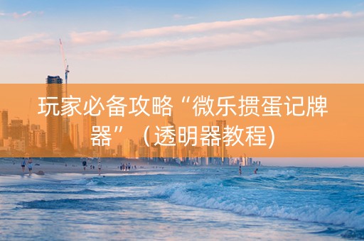 玩家必备攻略“微乐掼蛋记牌器”（透明器教程)