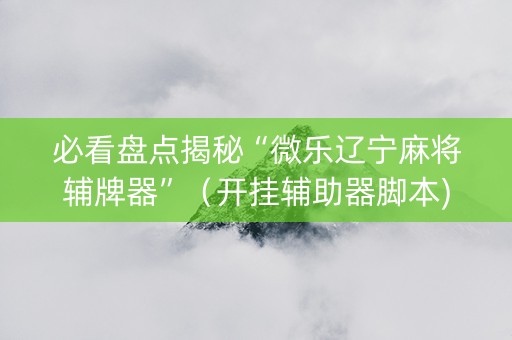 必看盘点揭秘“微乐辽宁麻将辅牌器”（开挂辅助器脚本)