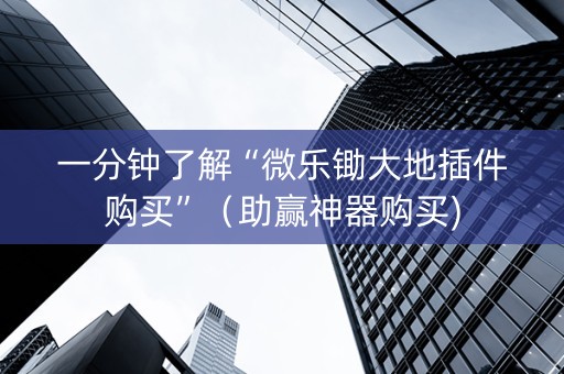 一分钟了解“微乐锄大地插件购买”（助赢神器购买)