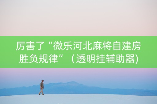 厉害了“微乐河北麻将自建房胜负规律”（透明挂辅助器)